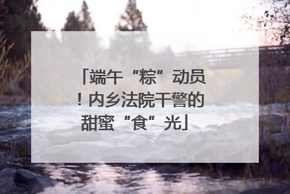 端午“粽”动员！内乡法院干警的甜蜜“食”光