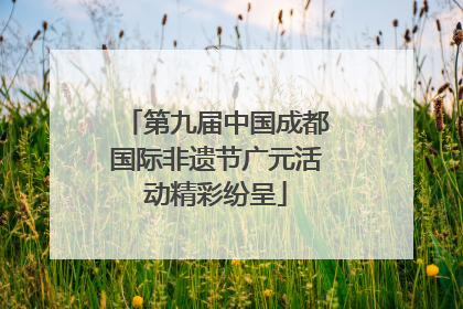 第九届中国成都国际非遗节广元活动精彩纷呈
