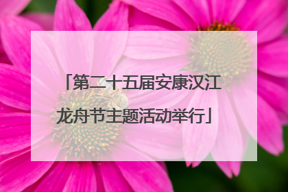 第二十五届安康汉江龙舟节主题活动举行