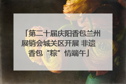 第二十届庆阳香包兰州展销会城关区开展 非遗香包“粽”情端午