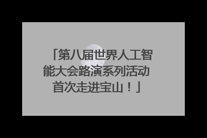 第八届世界人工智能大会路演系列活动首次走进宝山！