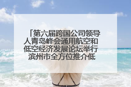 第六届跨国公司领导人青岛峰会通用航空和低空经济发展论坛举行 滨州市全方位推介低空经济发展优势