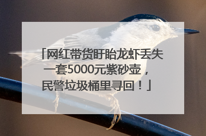 网红带货盱眙龙虾丢失一套5000元紫砂壶，民警垃圾桶里寻回！