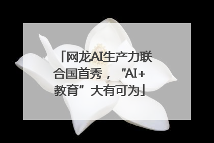 网龙AI生产力联合国首秀，“AI+教育”大有可为