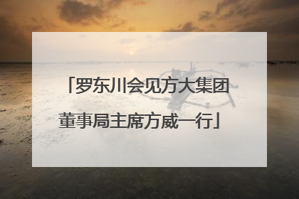 罗东川会见方大集团董事局主席方威一行