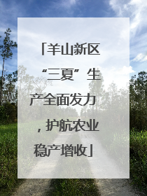 羊山新区“三夏”生产全面发力，护航农业稳产增收