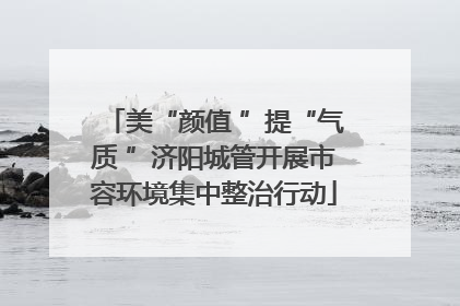 美“颜值 ”提“气质 ”济阳城管开展市容环境集中整治行动