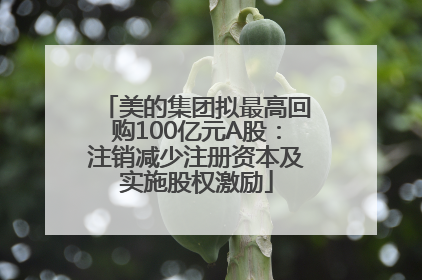 美的集团拟最高回购100亿元A股：注销减少注册资本及实施股权激励