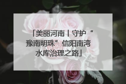 美丽河南丨守护“豫南明珠”信阳南湾水库治理之路