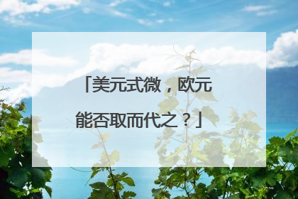 美元式微，欧元能否取而代之？