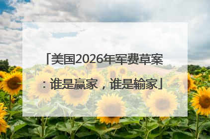 美国2026年军费草案：谁是赢家，谁是输家