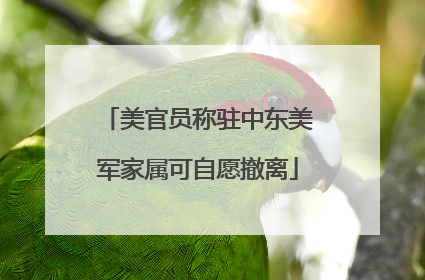 美官员称驻中东美军家属可自愿撤离