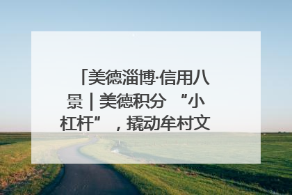 美德淄博·信用八景｜美德积分 “小杠杆”，撬动牟村文明 “大能量”