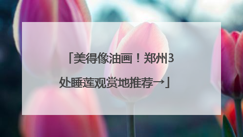 美得像油画！郑州3处睡莲观赏地推荐→