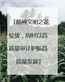 精神文明之花绽放，周村以高质量审计护航高质量发展
