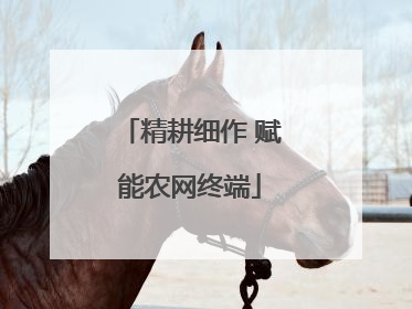 精耕细作 赋能农网终端