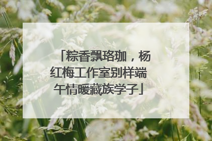 粽香飘珞珈，杨红梅工作室别样端午情暖藏族学子
