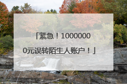紧急！10000000元误转陌生人账户！