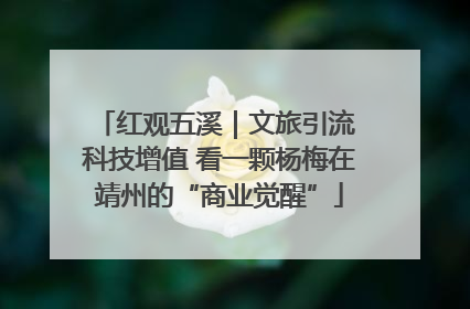 红观五溪｜文旅引流 科技增值 看一颗杨梅在靖州的“商业觉醒”