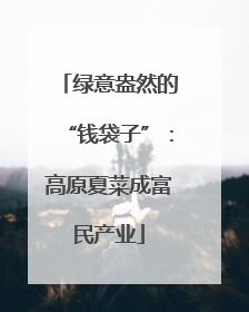 绿意盎然的“钱袋子”：高原夏菜成富民产业