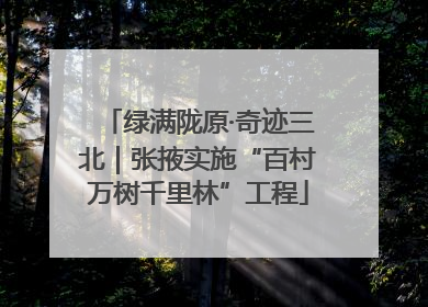 绿满陇原·奇迹三北｜张掖实施“百村万树千里林”工程