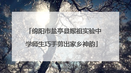 绵阳市盐亭县嫘祖实验中学师生巧手剪出家乡神韵