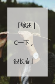 综述｜C一下，很长春