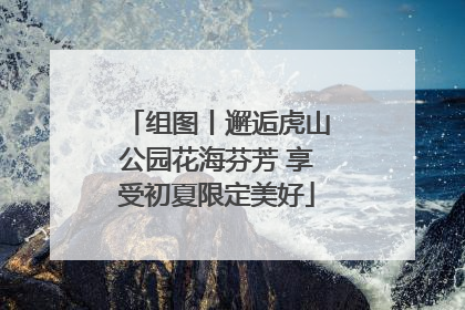 组图丨邂逅虎山公园花海芬芳 享受初夏限定美好