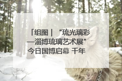 组图｜“琉光璃彩—淄博琉璃艺术展”今日国博启幕 千年窑火绽放京城