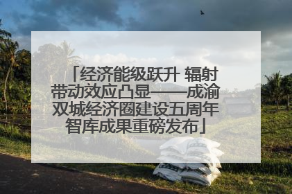 经济能级跃升 辐射带动效应凸显——成渝双城经济圈建设五周年智库成果重磅发布