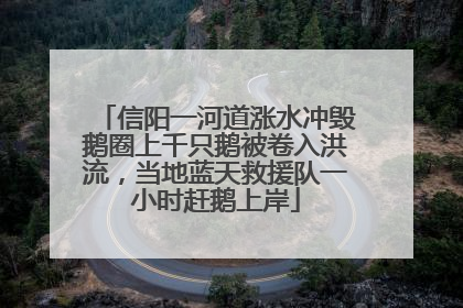 信阳一河道涨水冲毁鹅圈上千只鹅被卷入洪流，当地蓝天救援队一小时赶鹅上岸