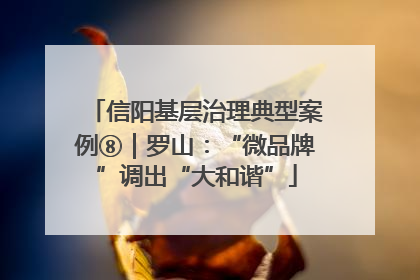 信阳基层治理典型案例⑧｜罗山：“微品牌”调出“大和谐”