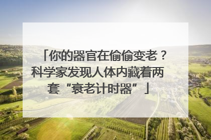 你的器官在偷偷变老？科学家发现人体内藏着两套“衰老计时器”