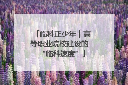 临科正少年｜高等职业院校建设的“临科速度”