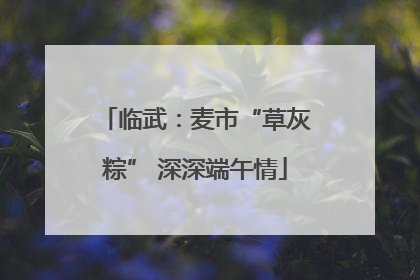 临武：麦市“草灰粽” 深深端午情
