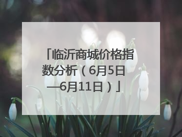 临沂商城价格指数分析（6月5日—6月11日）