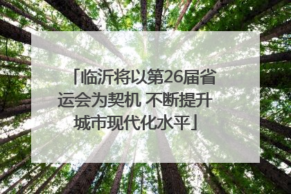 临沂将以第26届省运会为契机 不断提升城市现代化水平