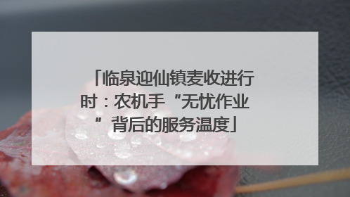 临泉迎仙镇麦收进行时：农机手“无忧作业”背后的服务温度