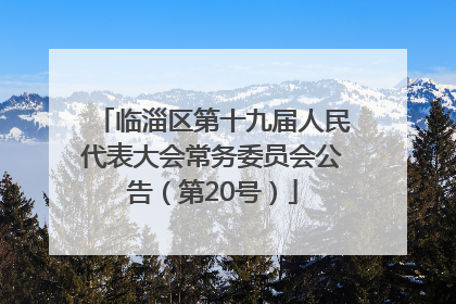 临淄区第十九届人民代表大会常务委员会公告（第20号）