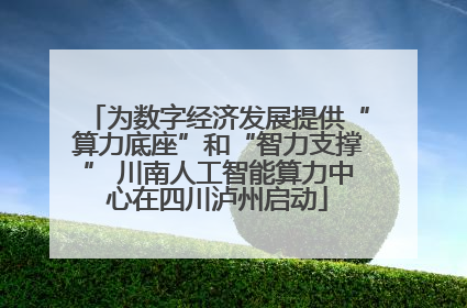 为数字经济发展提供“算力底座”和“智力支撑” 川南人工智能算力中心在四川泸州启动