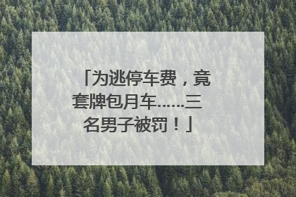 为逃停车费，竟套牌包月车……三名男子被罚！
