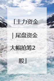 主力资金｜尾盘资金大幅抢筹2股