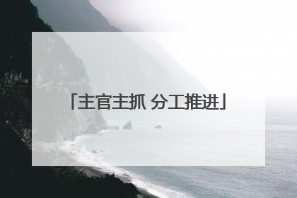 主官主抓 分工推进