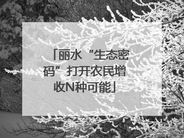 丽水“生态密码”打开农民增收N种可能