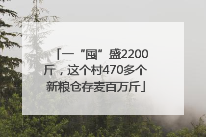 一“囤”盛2200斤，这个村470多个新粮仓存麦百万斤