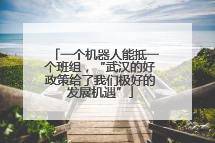 一个机器人能抵一个班组，“武汉的好政策给了我们极好的发展机遇”
