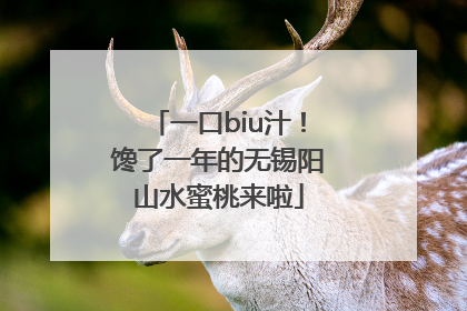 一口biu汁！馋了一年的无锡阳山水蜜桃来啦