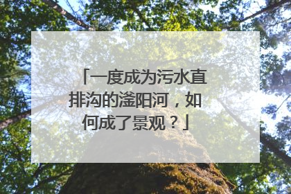 一度成为污水直排沟的滏阳河，如何成了景观？