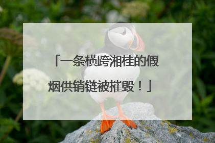 一条横跨湘桂的假烟供销链被摧毁！