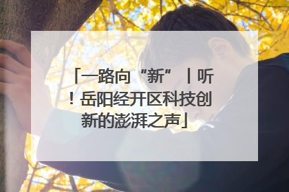 一路向“新”丨听！岳阳经开区科技创新的澎湃之声